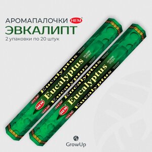 Палочки ароматические благовония HEM ХЕМ Эвкалипт Eucalyptus, 2 упаковки, 40 шт