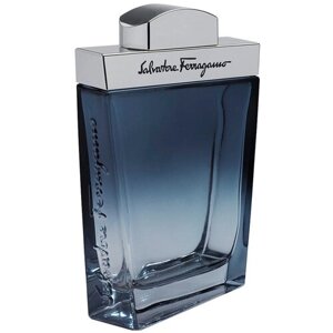 Salvatore Ferragamo туалетная вода Subtil pour Homme, 100 мл