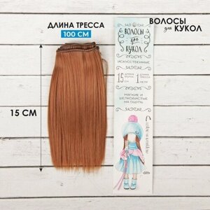 Школа талантов Волосы - тресс для кукол «Прямые» длина волос: 15 см, ширина:100 см, цвет № 30