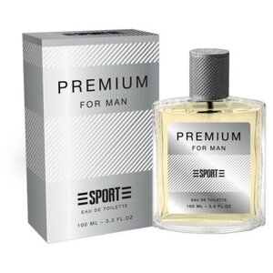 TODAY PARFUM Туалетная вода мужская Sport Premium, 100 мл