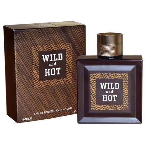 Today Parfum туалетная вода Wild And Hot, 100 мл