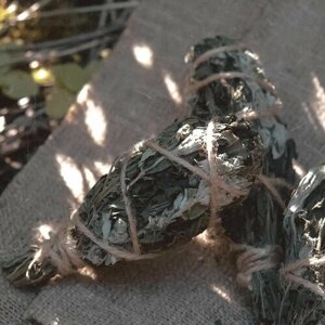 Травяная скрутка для окуривания крапива/мята, благовония Stinging smudge stick