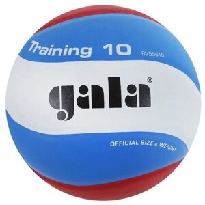 Волейбольный мяч Gala Training 10 синий
