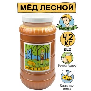 Антон Медов/Мед Лесной натуральный 4.2 кг Без сахара 2023 г.