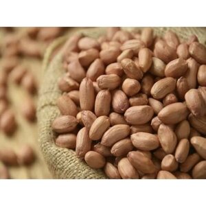 Арахис сырой/ нежареный очищенный Крупный 500г F&Z Nuts