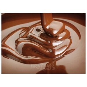 Ароматизатор натуральный жидкий Шоколад Baker flavors, 10 мл.