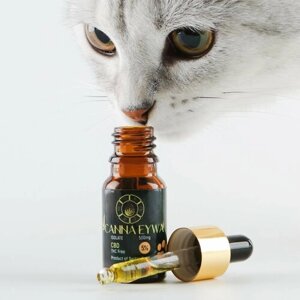 CBD масло для собак и кошек 5%Canna Eywa / 10ml / каннабидиол