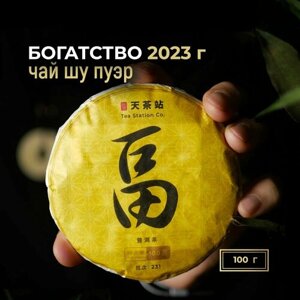 Чай китайский Шу Пуэр "Богатство", 2023 год, 100 г, листовой чёрный пу эр, Tea Station