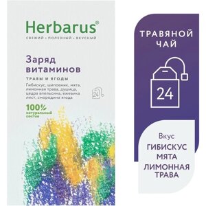 Чай травяной Herbarus Заряд витаминов в пакетиках, мята, апельсин, 24 пак.