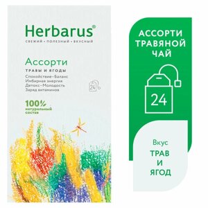 Чайный напиток Herbarus ассорти в пакетиках, смородина, крапива, 24 пак.