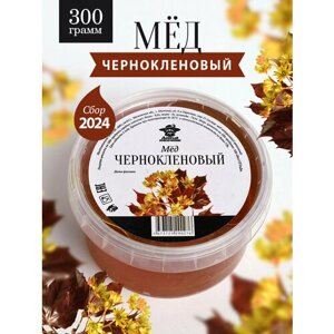 Чернокленовый мед 300 г, натуральный мед, полезный подарок