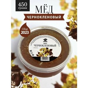 Чернокленовый мед 450 г, для иммунитета, полезный подарок