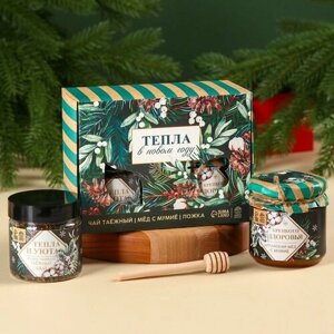 Доброе здоровье Подарочный набор «Тепла в новом году»алтайский мёд с мумиё 240 г, ягодно-травяной чай 50 г, ложка для мёда