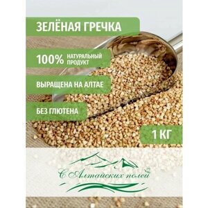 Гречка зеленая для проращивания, для выпечки хлеба и для каши, С Алтайских полей, 1000 грамм
