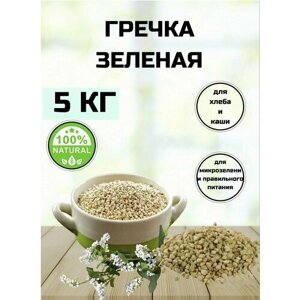 Гречка зеленая для проращивания, для выпечки хлеба и для каши, С Алтайских полей, 5000 грамм