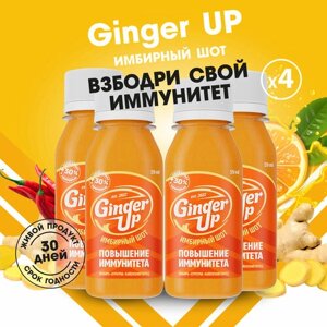 Имбирные шоты Ginger UP для естественной поддержки иммунитета — Имбирный сок холодного отжима с куркумой и кайенским перцем, 4 шт x 59 мл.