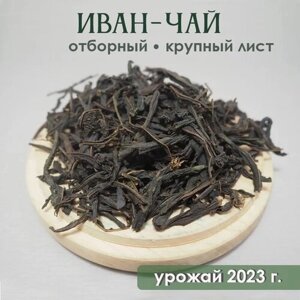 Иван-чай "Эко-Вологда", вологодский, отборный, крупнолистовой, ферментированный, урожай 2023 года. 150 гр.