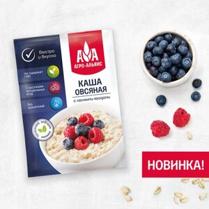 Каша овсяная «Агро-Альянс» моментального приготовления с лесными ягодами 40г (25 пакетиков в упаковке)