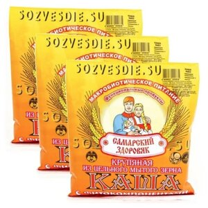 Каша "Самарский Здоровяк”14 Пшенично-рисовая с топинамбуром и дигидрокверцетином 250 г. х 3 пакета