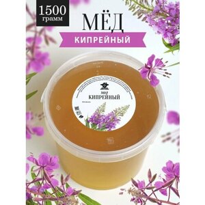 Кипрейный мед жидкий 1500 г, суперфуд, сладкий подарок
