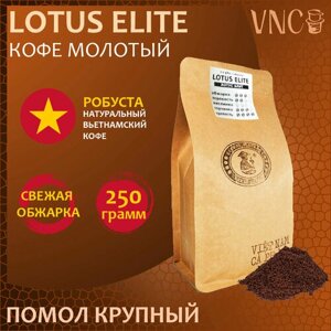 Кофе молотый Lotus Elite VNC, 250 г, крупный помол, свежая обжарка, премиальная робуста из Вьетнама