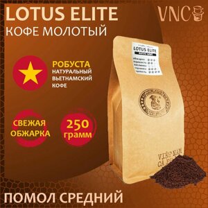 Кофе молотый Lotus Elite VNC, 250 г, средний помол, свежая обжарка, премиальная робуста из Вьетнама
