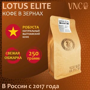 Кофе в зернах Lotus Elite VNC, 1 кг, свежая обжарка, премиальная робуста из Вьетнама