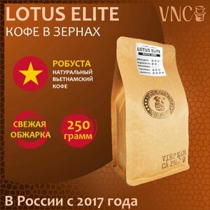 Кофе в зернах Lotus Elite VNC, 500 г, свежая обжарка, премиальная робуста из Вьетнама