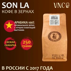 Кофе в зернах VNC Арабика "Son La" 250 г, Вьетнам, свежая обжарка, Шонла)