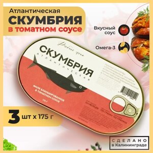 Консервы скумбрия филе в томатном соусе, Калининград, 3 банки по 175г