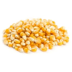 Кукуруза (зерно) для попкорна, 3кг