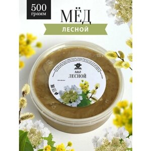 Лесной мёд 500 г , полезный подарок, вкусняшки к чаю