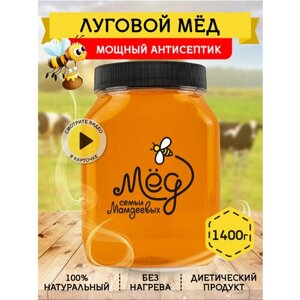 Луговой мёд, 1400 г Натуральный мед без сахара, сладости к чаю