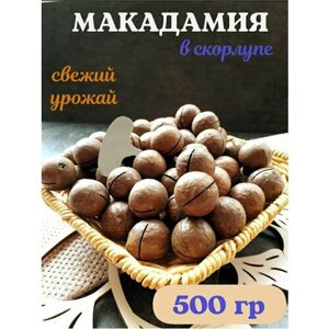 Макадамия орех в скорлупе 500 грамм