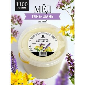 Мед горный Тянь-Шань 1100 г, натуральный, для иммунитета, полезный продукт, хороший подарок
