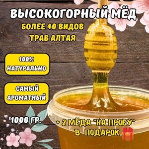 Мед натуральный Высокогорный 1кг / Горный жидкий мёд с пасеки / Мед алтайский