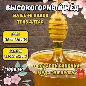 Мед натуральный Высокогорный 1кг / Горный жидкий мёд с пасеки