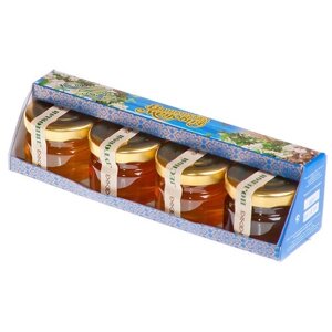 Медовый набор Мёд натуральный Башкирский "Башкирская медовня" 40 грамм х 4 шт