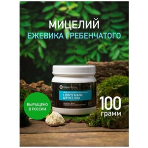 Мицелий ежовика гребенчатого, 100г. Dope Nature