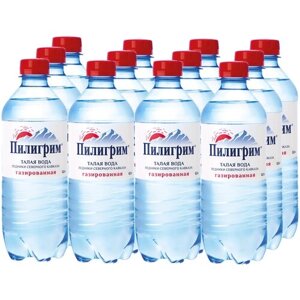 Минеральная питьевая вода Пилигрим газированная, ПЭТ, без вкуса, 12 шт. по 0.5 л