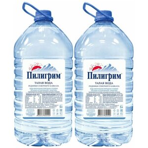 Минеральная питьевая вода Пилигрим, негазированная, ПЭТ, без вкуса, 2 шт. по 5 л