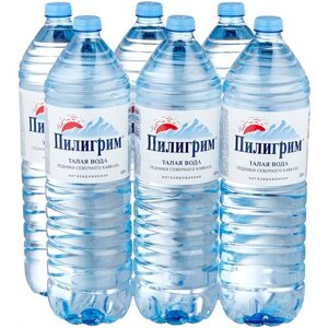 Минеральная питьевая вода Пилигрим, негазированная, ПЭТ, без вкуса, 6 шт. по 1.5 л
