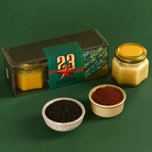 Набор «23 февраля»чай чёрный с лимоном 50 г, кофе молотый 50 г, крем-мёд с апельсином 120 г.