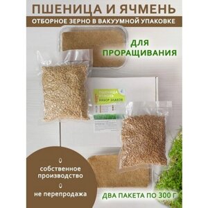 Набор злаков для проращивания ячмень и пшеница