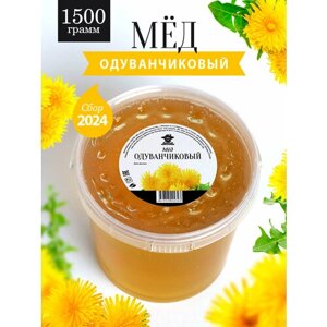 Одуванчиковый мед 1500 г, натуральный мед, нового урожая, светлый