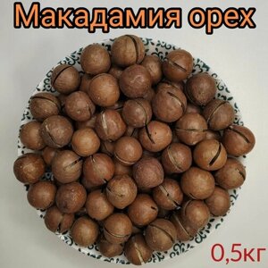 Орех Макадамия в скорлупе 0,5кг