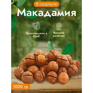 Орехи макадамия в скорлупе. Урожай 2023 года. Орехи премиум качества. 1000 гр