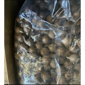 Орехи макадамия в скорлупе. Урожай 2023 года. Орехи премиум качества. 5кг