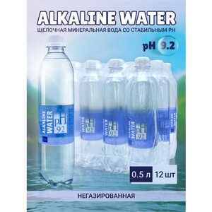 Питьевая щелочная вода pH 9,2 негазированная 12 шт по 0,5 л Alkaline water
