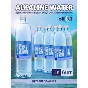 Питьевая щелочная вода pH 9,2 негазированная 6 шт по 1 л Alkaline water